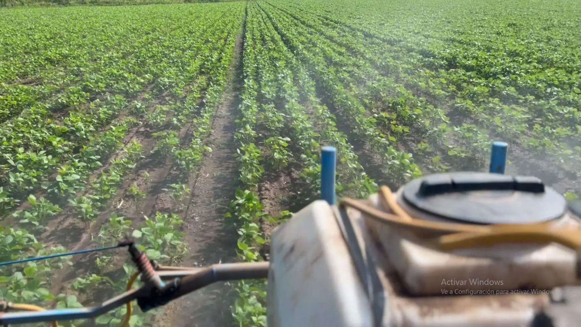 CAMPO SIN AGUA